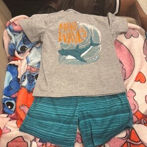 Gray Shark T-Shirt and Teal Striped Shorts Set